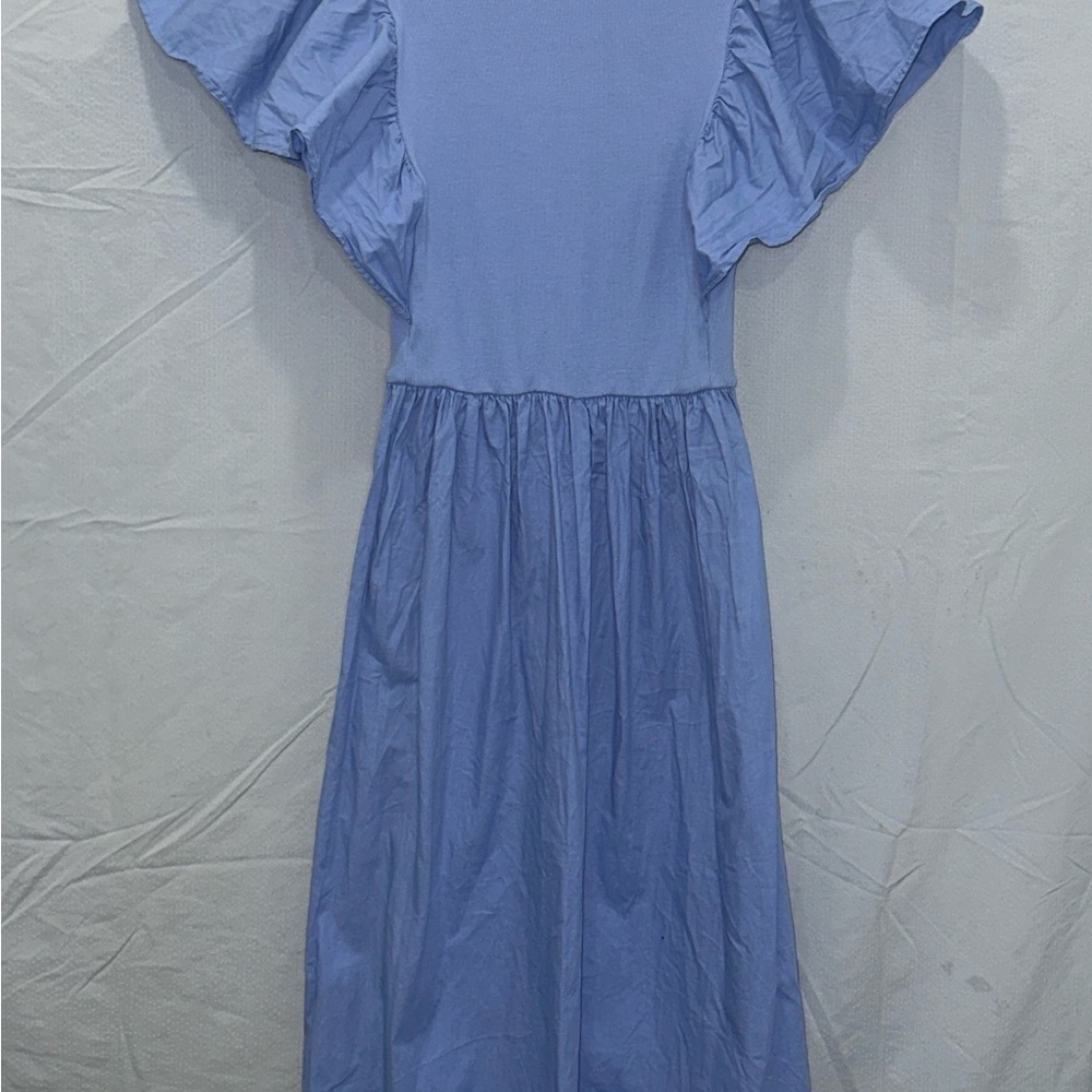 Zara Blue Ruffle Sleeve Dress